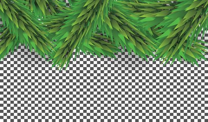Christmas Border with Fir Branches on Transparent Background. Pine Sprigs on Above.