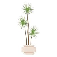 hojas de palmera en maceta aislado sobre fondo blanco. planta de interior para decorar el interior de la casa u oficina. vector