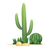 Cactuses and Stones Isolated on White. vector