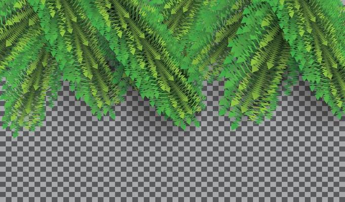 Christmas Element with Fir Branches on Transparent Background. Pine Sprigs on Above.