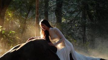 Handheld backlight shot, Young attractive asian woman in traditional costume Tenderness with elephant, She smile, talking and touch on the elephant's head gently and lovingly
