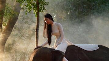 tiro de luz de fundo portátil, jovem atraente mulher asiática em ternura de traje tradicional com elefante, ela sorri, fala e toca enquanto cavalga na cabeça do elefante com cuidado e amor video