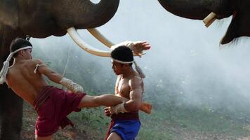 Two Young males wearing Thai tradition short, head and hands wrapped in twisted hemp rope and showing beautiful fighting art of Muay Thai, Blurred elephants and spreading white mist in background video