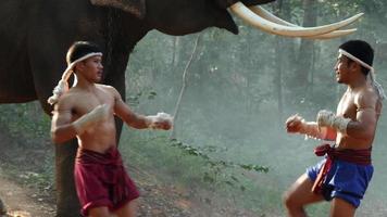 Two Young males wearing Thai tradition short, head and hands wrapped in twisted hemp rope and showing beautiful fighting art of Muay Thai, Blurred elephants and spreading white mist in background video