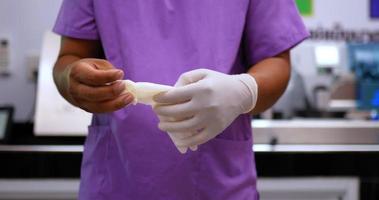 primer plano, las manos de un joven veterinario uniformado se están poniendo guantes de goma para empezar a trabajar en el laboratorio