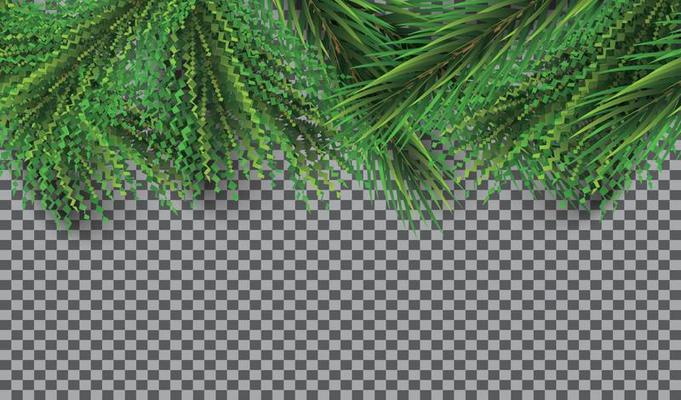 Christmas Border with Fir Branches on Transparent Background. Pine Sprigs on Above.