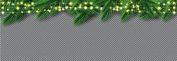 Fir Branch with Neon Lights on Transparent Background. Pine Sprigs on Above. vector