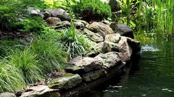 giardino cascata. giardino stagno con acqua fiori. bellissimo stagno nel un' Giardino dietro la casa circondato con pietra. video