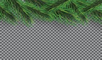 Christmas Border with Fir Branches on Transparent Background. Pine Sprigs on Above. vector