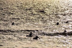 Surfers silhouette in the sea photo