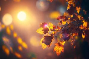 hojas de otoño en el sol y árboles borrosos. fondo de otoño foto