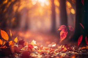 Red Leaves Falling In Forest, Defocused Autumn Background With Sunlight