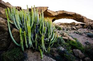 Scenic desert view photo