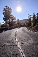 Scenic road view photo