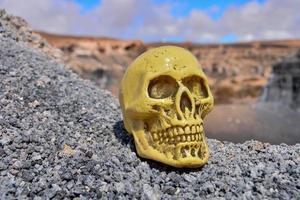 Skull miniature on the ground photo