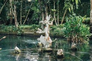 peces koi en el estanque balinés foto