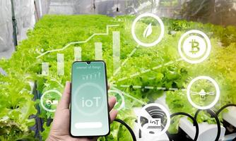 Futuristic businessman farms vegetables and crops using modern AI technology using mobile phones, temperature and humidity sensors, water tracking, climate control, holographic data data icons. photo