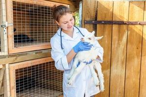 Young veterinarian woman with stethoscope holding and examining goat kid on ranch background. Young goatling in vet hands for check up in natural eco farm. Modern animal livestock, ecological farming. photo