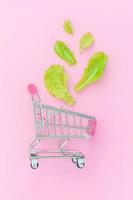 Ecology eco products health food vegan vegetarian concept . Small supermarket grocery push cart for shopping with green lettuce leaves isolated on pink pastel colorful background. Copy space.