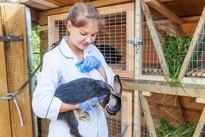 Veterinarian woman with syringe holding and injecting rabbit on ranch background close up. Bunny in vet hands for vaccination in natural eco farm. Animal care and ecological farming concept. photo