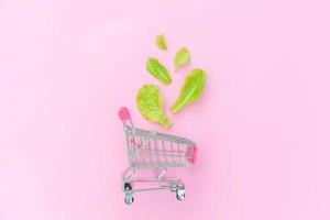 Ecology eco products health food vegan vegetarian concept . Small supermarket grocery push cart for shopping with green lettuce leaves isolated on pink pastel colorful background. Copy space.