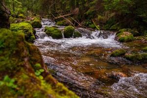 High mountain wild river in national park forest, peacefull fall spring landscape. Water stream in National Park in Poland. Lower alpine trekking path. photo