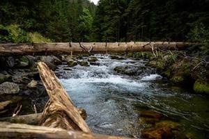 High mountain wild river in national park forest, peacefull fall spring landscape. Water stream in National Park in Poland. Lower alpine trekking path. photo