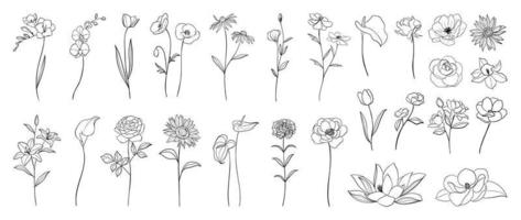 conjunto de vectores de arte de línea de flores botánicas dibujadas a mano. colección de dibujo de contorno blanco negro de rosa, lirio, flores de orquídea. ilustración de diseño para impresión, logotipo, cosmética, afiche, tarjeta, marca.