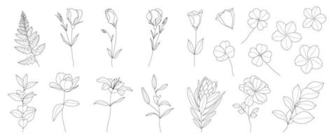 Set of hand drawn botanical flowers line art vector. Collection of black white drawing contour simple rose, lily flowers, clover. Design illustration for print, logo, cosmetic, poster, card, branding. vector