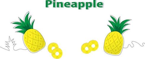 illustration of pineapple vector