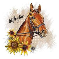 retrato de un caballo y girasoles ilustración vectorial aislado vector