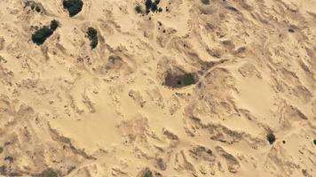 Aerial View of the Textures and Patterns of the Desert Sands. Beautiful landscape . Desert and green bushes photo