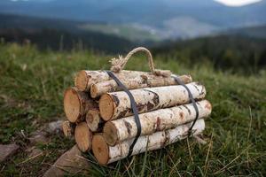 Birch firewood is lying on the green grass. A fire of wood. Harvesting firewood for the winter in the summer in the village. Fuel for the stove. firewood photo