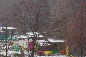 árboles de nieve sin hojas foto