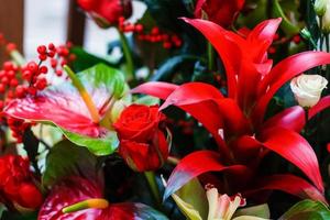 Red roses and lily. photo