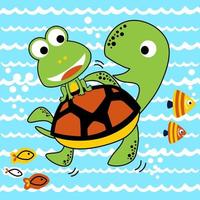 Funny marine animals, frog riding on turtle's back, vector cartoon illustration