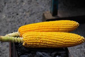 el maíz asado cocido se ve especialmente bien en climas fríos. foto