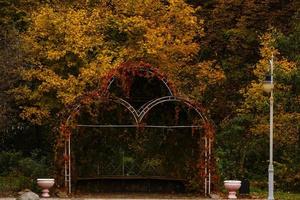 cenador en un hermoso parque en otoño foto