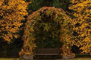 Arbor in a beautiful park in autumn photo