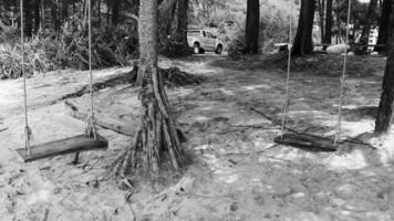 Swing on tree at Naithon Beach bay panorama Phuket Thailand. video