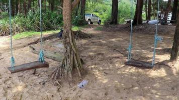swing en árbol en naithon beach bay panorama phuket tailandia. video