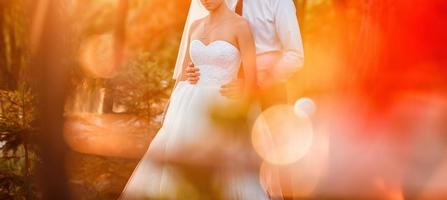 retrato de sol de la novia y el novio felices al aire libre en un lugar natural al atardecer cálido verano foto