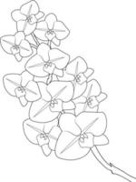 páginas para colorear de flores fáciles, fondo floral sin fisuras aislar orquídea flor vector skatch clip art