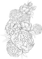 Carnation flower sketch art, vintage style printed for cute flower coloring pages.Vector illustration of a Beautiful flower with a bouquet of gillyflower, and leaves. isolated on white background. vector