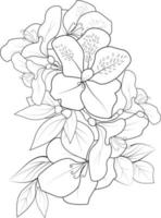 boceto de la ilustración de la flor de azalea brotes de hojas botánicos dibujados a mano aislados en blanco, flor de primavera y estilo de arte de tinta, jardín botánico element.flower páginas para colorear. vector