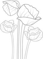 Poppy vector art, monochrome floral pattern. ink vector illustration hand drawn pencil sketch, branch of botanical collaction simplicity, artistic, coloring book for children and adults.