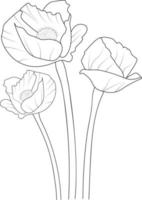 Ppppy flower art, vector illustration of a bouquet of poppy, hand-drawn botanical spring elements natural collection line art for coloring page isolated on white background.