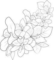 arte de línea de azalea, ilustración vectorial floral, flores de estilo vintage grabadas con siempre verde aisladas en fondo blanco, garabato zen de flores botánicas dibujadas a mano. vector