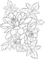 Dahlia flower sketch art, vintage style printed for cute flower coloring pages.Vector illustration of a Beautiful flower with a bouquet of waterlily dahlia , and leaves. isolated on white background. vector