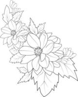 dibujo de flores de dalia, estilo vintage impreso para lindas páginas para colorear flores. ilustración vectorial de una hermosa flor con un ramo de dalia de nenúfares y hojas. aislado sobre fondo blanco. vector